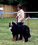 eik lankwitz 08 x5.jpg